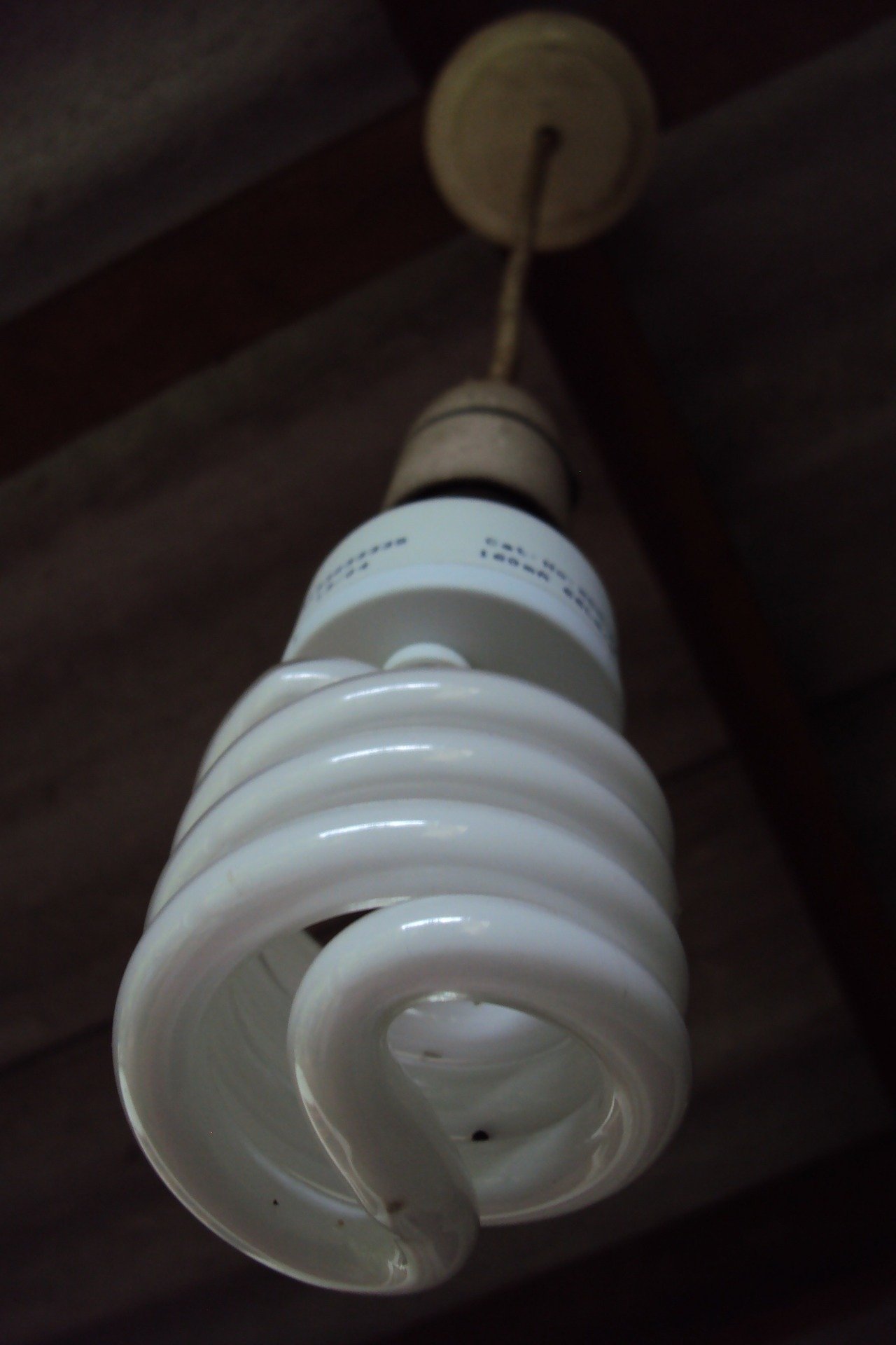 CFL bulbs